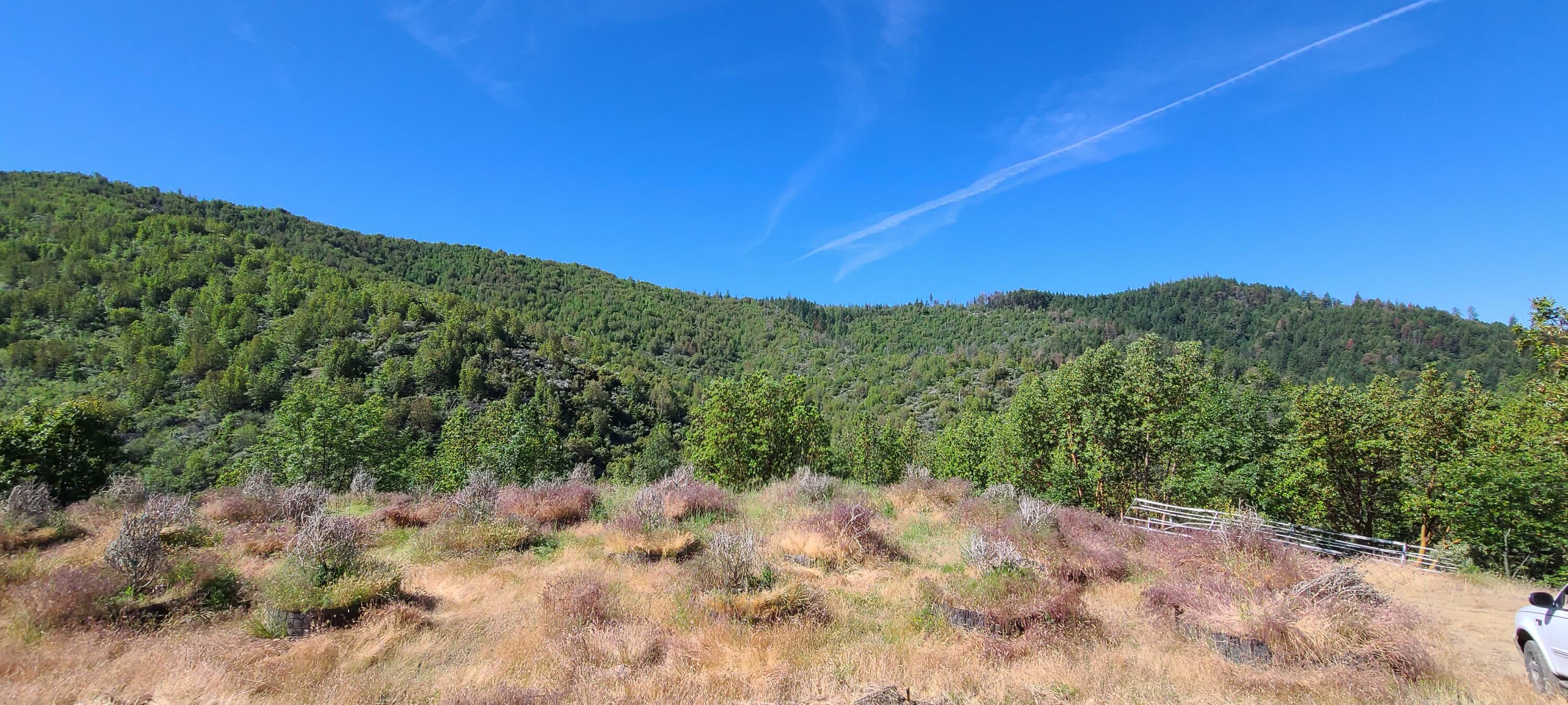Yale Cr Road Jacksonville, OR 97530 - Photo 2 of 28 a view of a mountain range with trees in the background