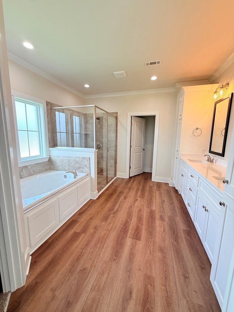 295 Adkinson Road Newton, AL 36352 - Photo 7 of 20 Master Bath