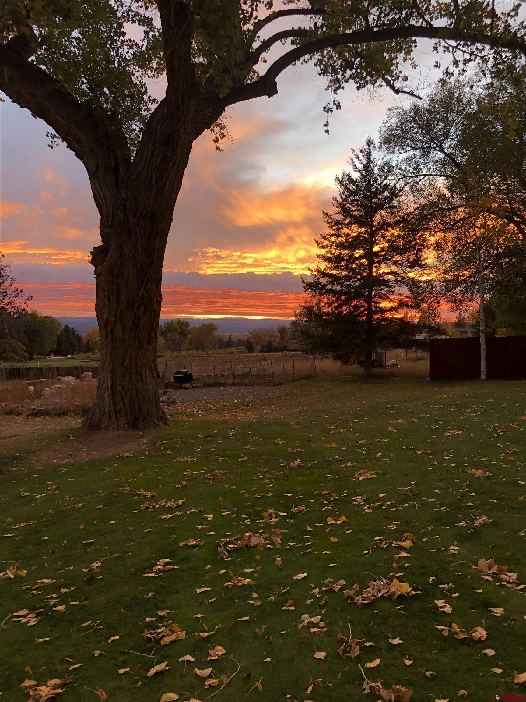 2368 Miami Road Montrose, CO 81401 - Photo 11 of 35 Gallery Image 11