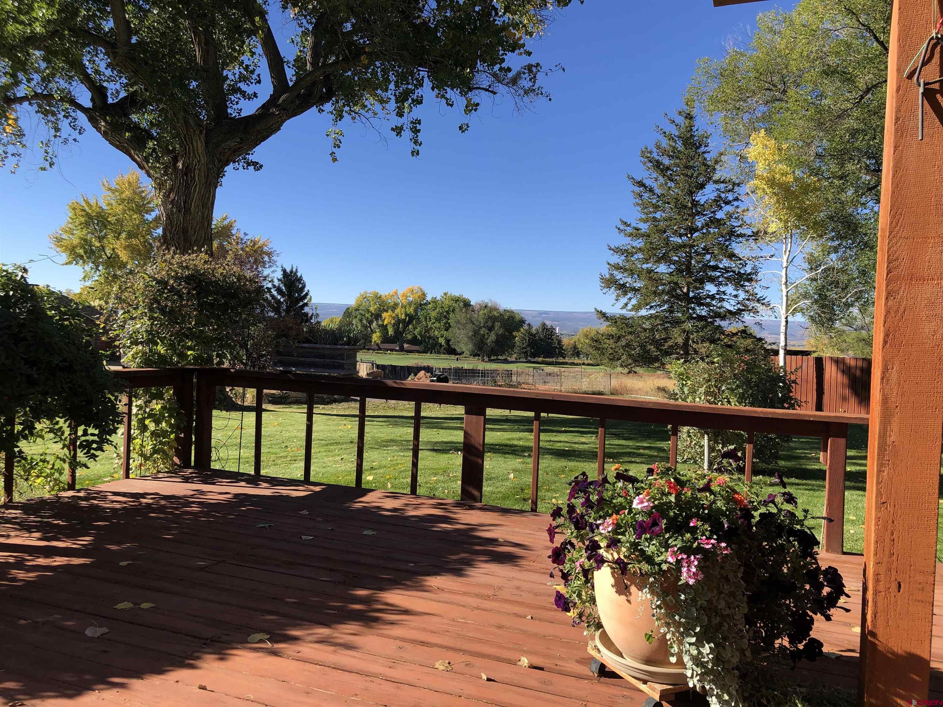 2368 Miami Road Montrose, CO 81401 - Photo 12 of 35 Gallery Image 12