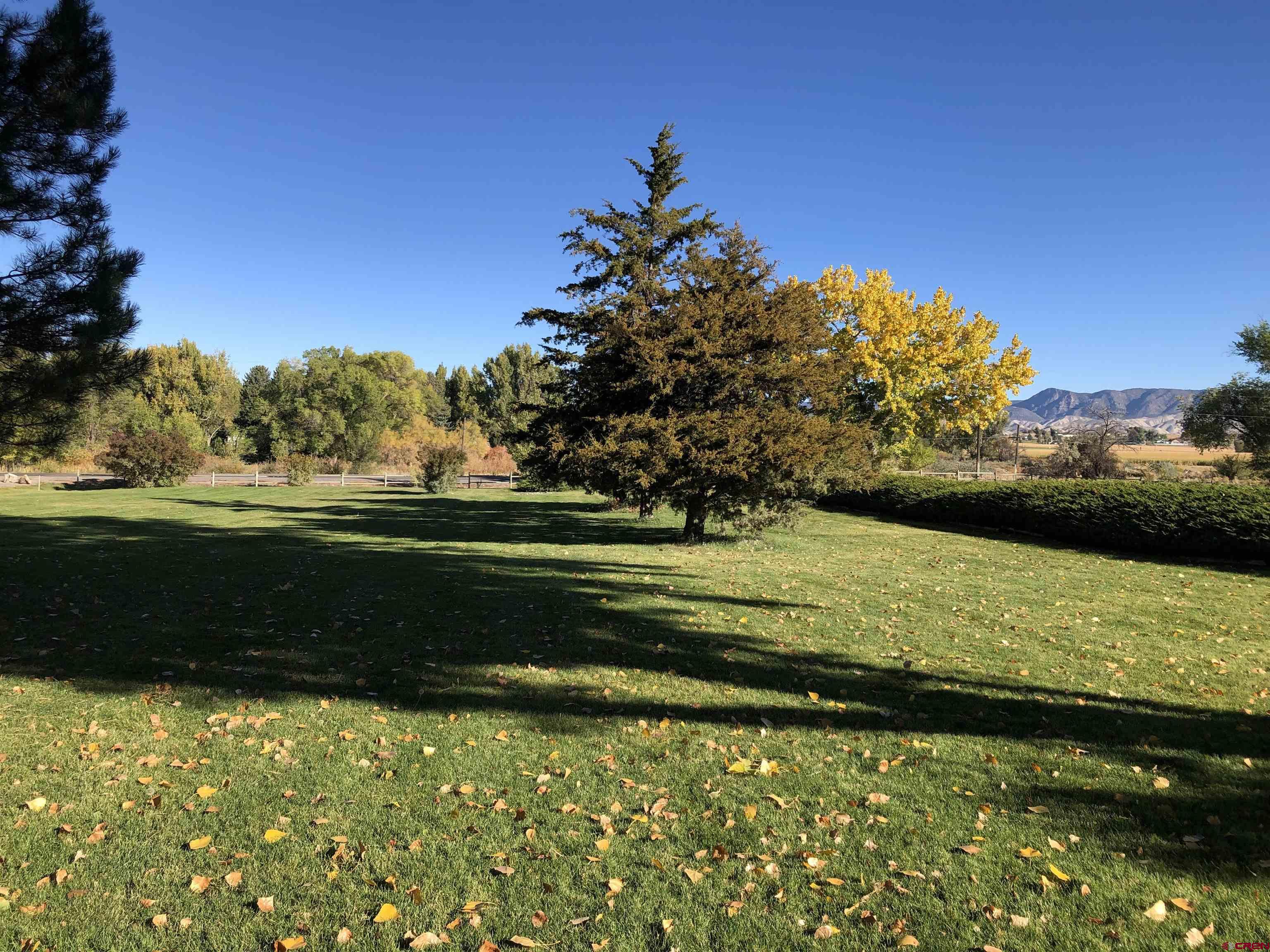 2368 Miami Road Montrose, CO 81401 - Photo 7 of 35 Gallery Image 7