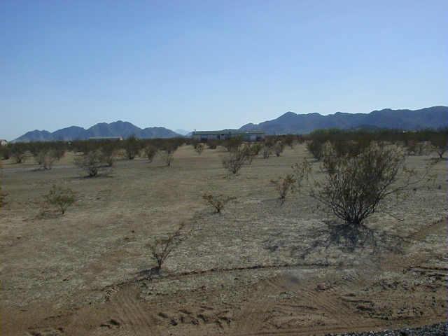 0 North Hidden Valley Road, Unit 3 Maricopa, AZ 85139 - Photo 1 of 1 Primary Photo