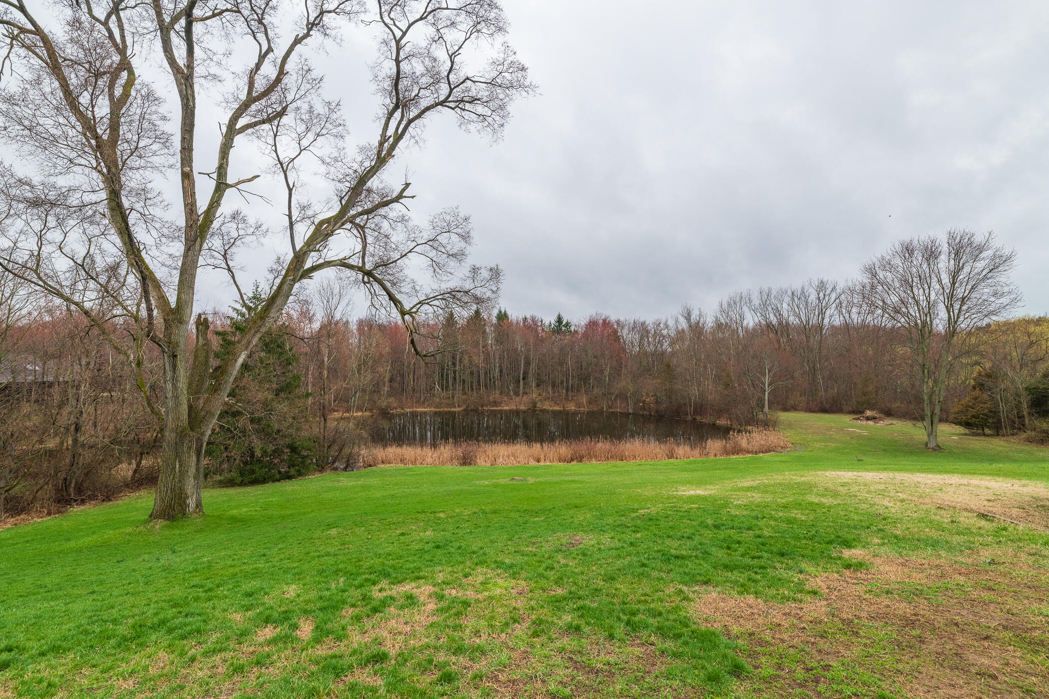 4428 Hagar Shore Road Coloma, MI 49038 - Photo 54 of 80 Coloma Property-66