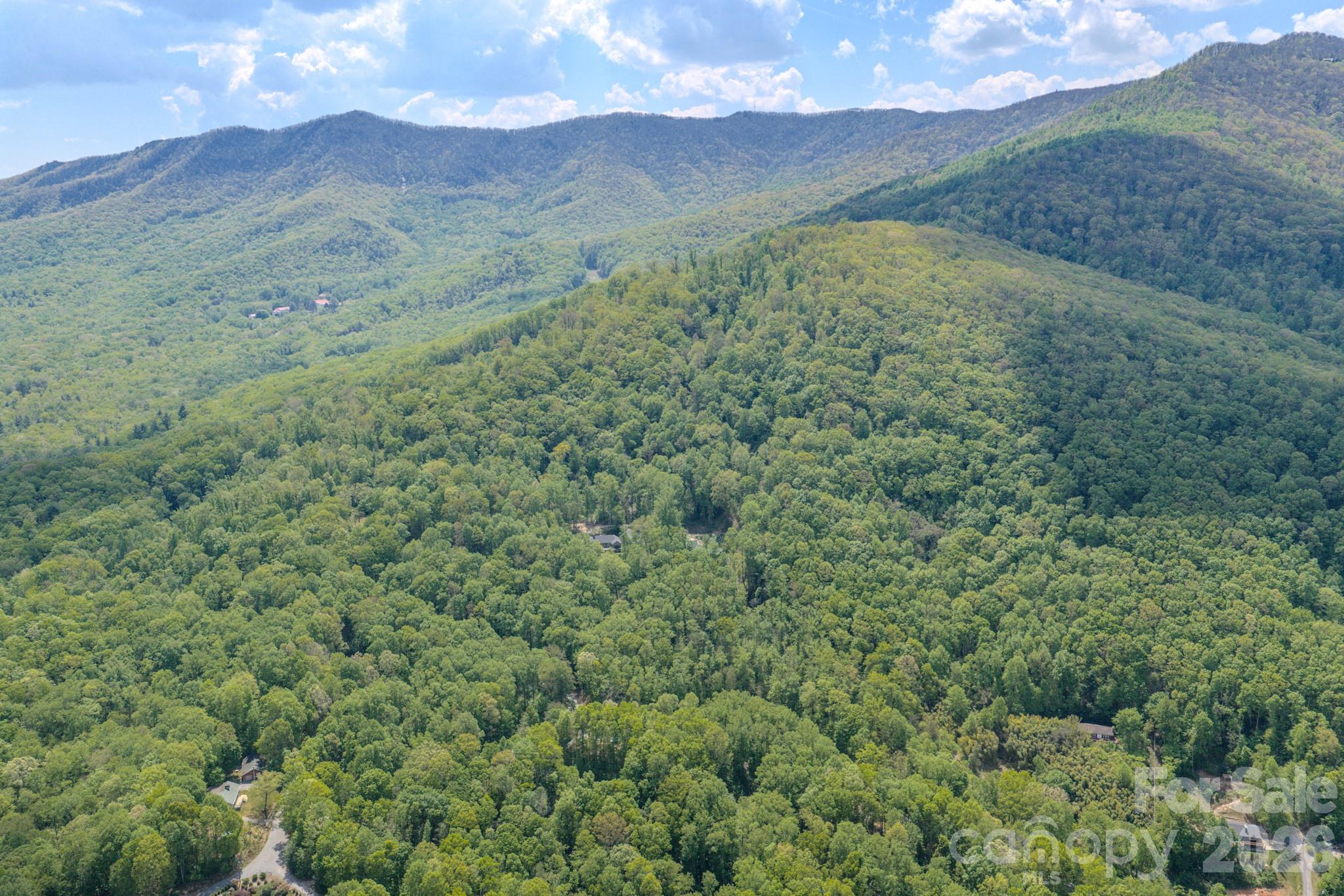 263 Mockingbird Road, Unit 2 Swannanoa, NC 28778 - Photo 11 of 22 a view of a lush green hillside and a houses