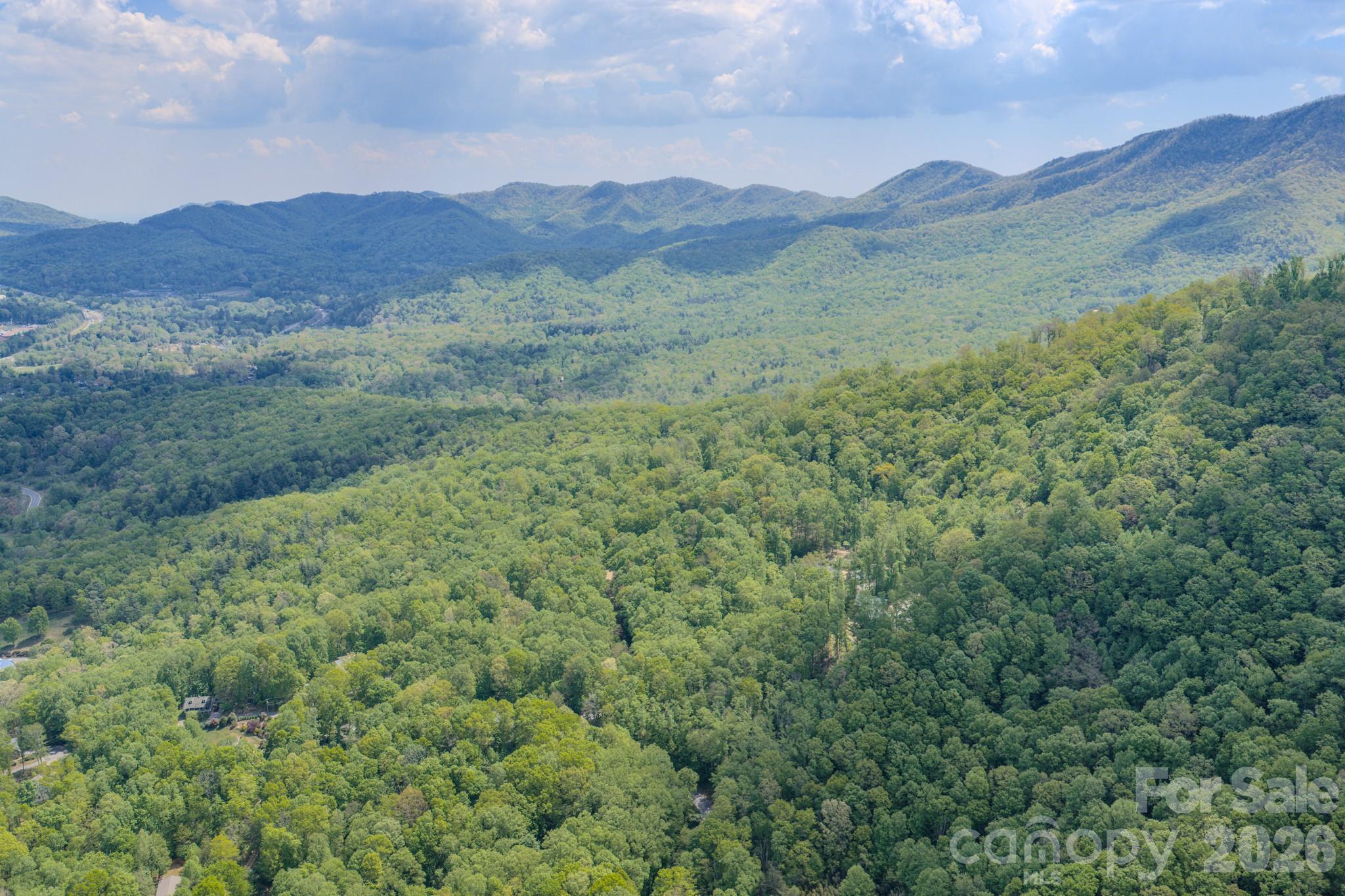 263 Mockingbird Road, Unit 2 Swannanoa, NC 28778 - Photo 12 of 22 a view of a lush green hillside and a houses