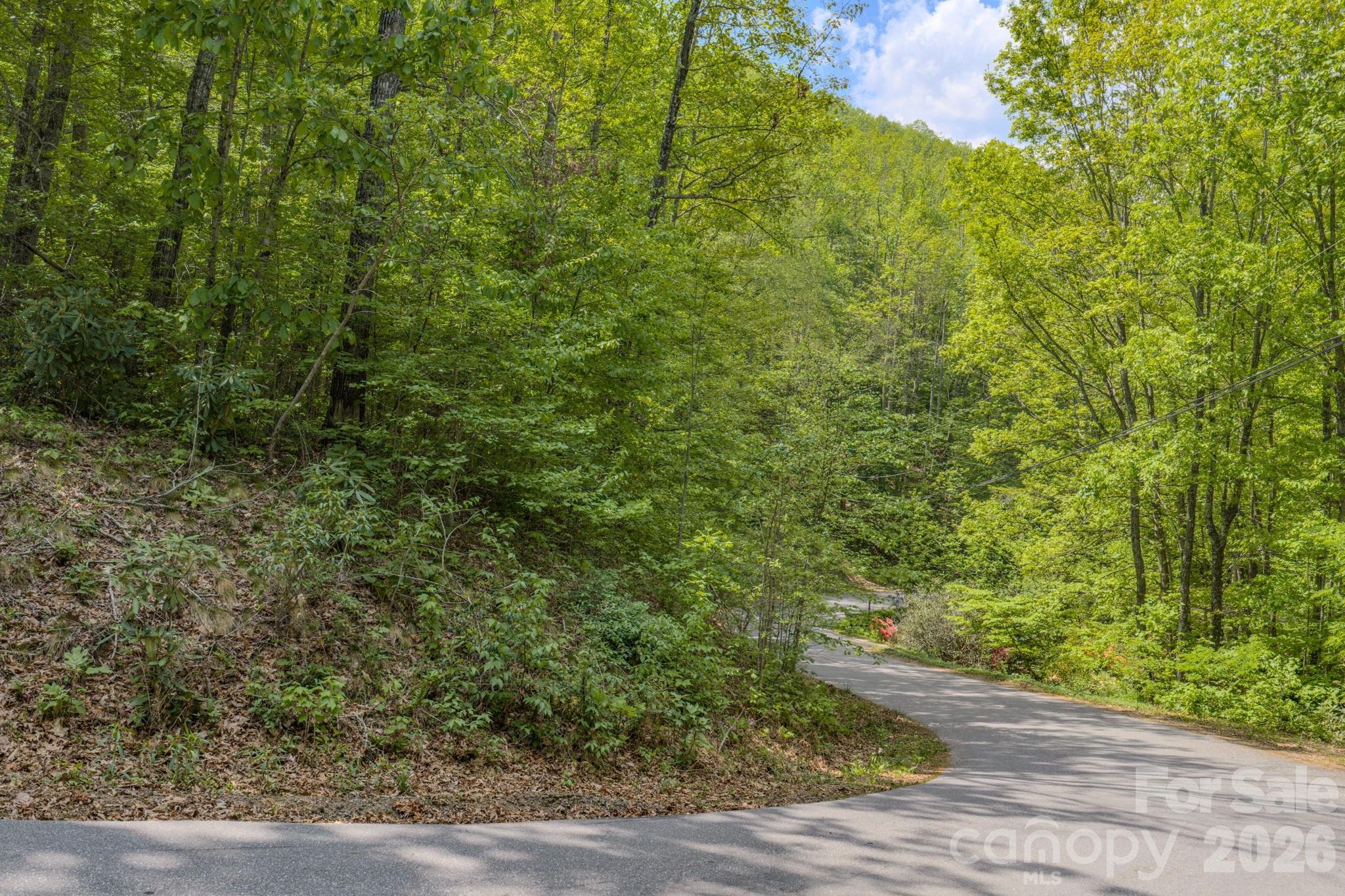 263 Mockingbird Road, Unit 2 Swannanoa, NC 28778 - Photo 13 of 22 a view of a yard with a tree