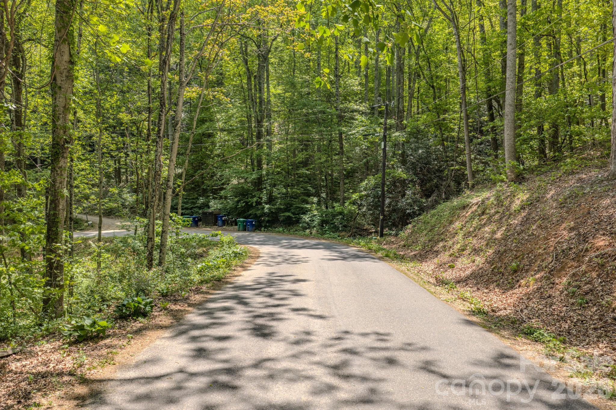 263 Mockingbird Road, Unit 2 Swannanoa, NC 28778 - Photo 14 of 22 a view of a yard with plants and large trees