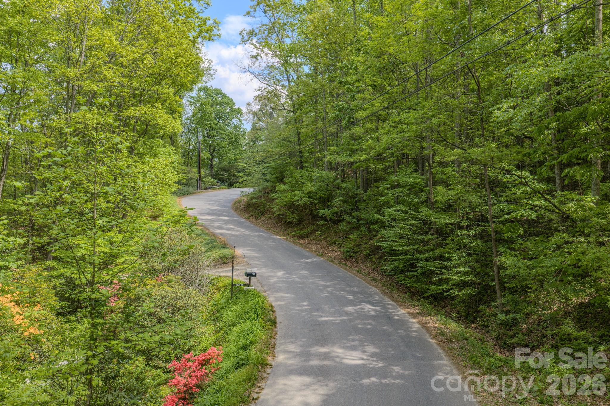 263 Mockingbird Road, Unit 2 Swannanoa, NC 28778 - Photo 16 of 22 a view of a garden with plants and large trees