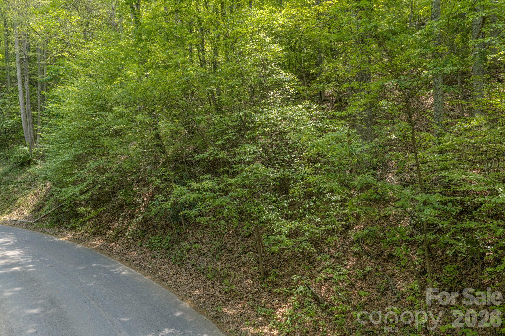 263 Mockingbird Road, Unit 2 Swannanoa, NC 28778 - Photo 17 of 22 a view of a forest with a street