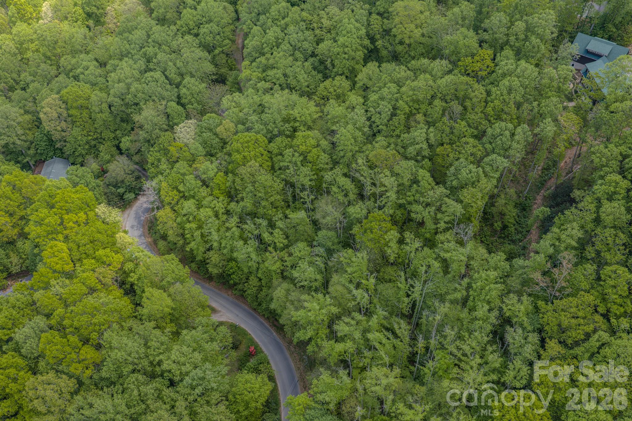 263 Mockingbird Road, Unit 2 Swannanoa, NC 28778 - Photo 19 of 22 a view of a forest with a tree
