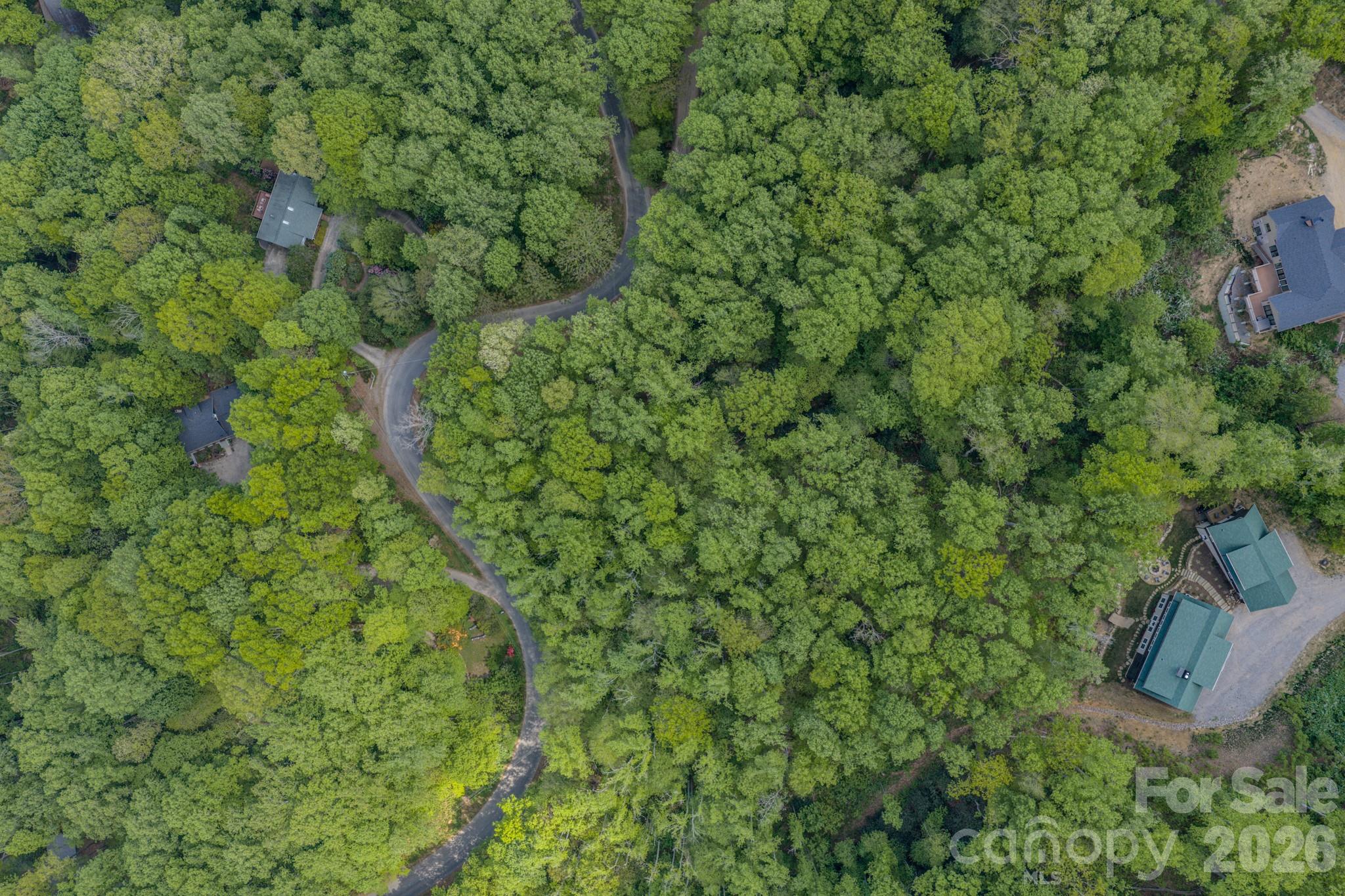 263 Mockingbird Road, Unit 2 Swannanoa, NC 28778 - Photo 20 of 22 a view of a lush green forest