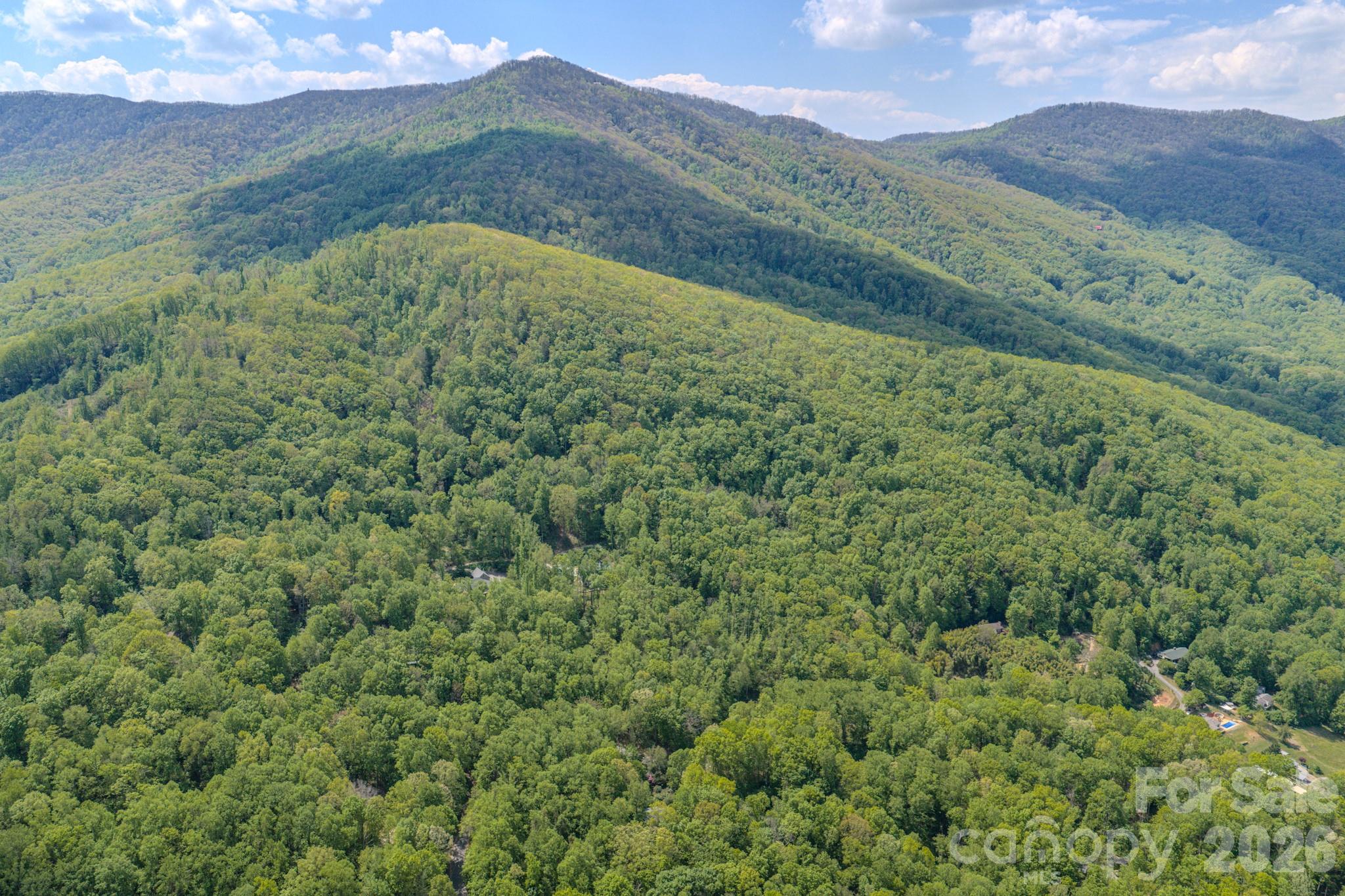 263 Mockingbird Road, Unit 2 Swannanoa, NC 28778 - Photo 9 of 22 a view of a mountain range with lush green forest