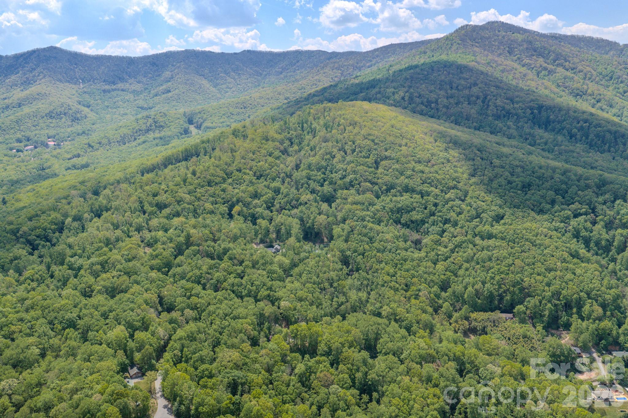 263 Mockingbird Road, Unit 2 Swannanoa, NC 28778 - Photo 10 of 22 a view of a lush green hillside and a houses