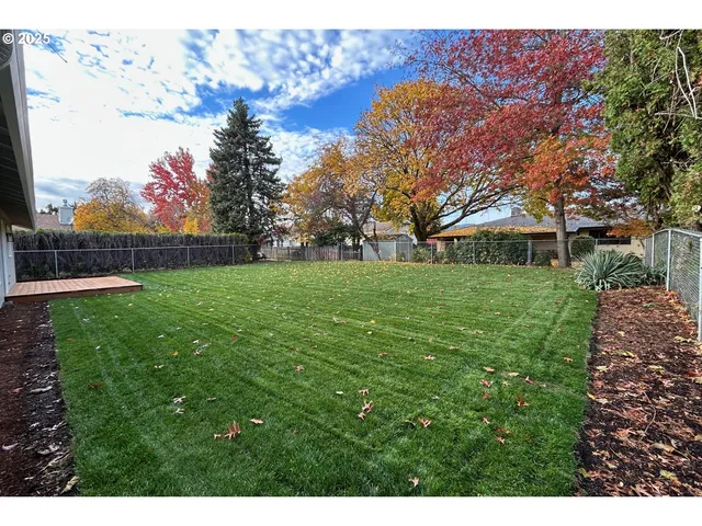 a view of a backyard