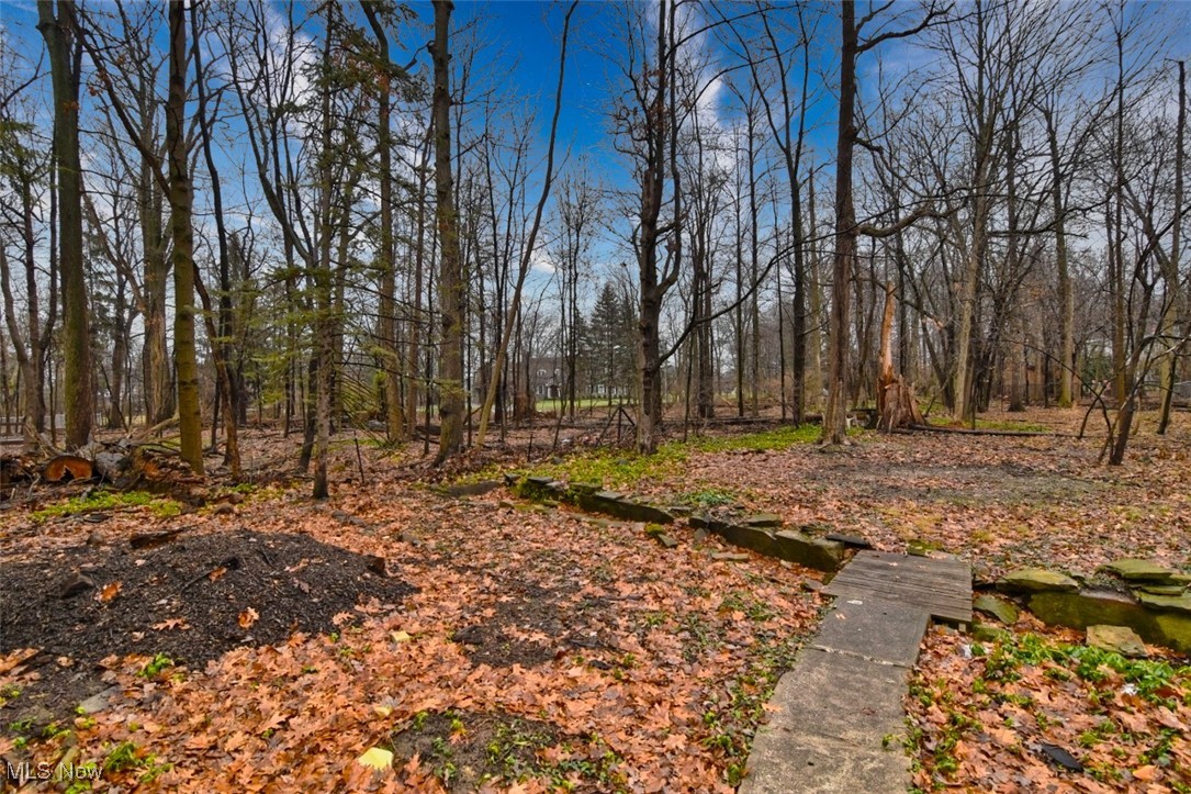 1703 Wood Road Cleveland Heights, OH 44121 - Photo 45 of 45