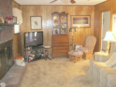 7300 Noah Reid Road Chattanooga, TN 37421 - Photo 2 of 23 Den w/fireplace