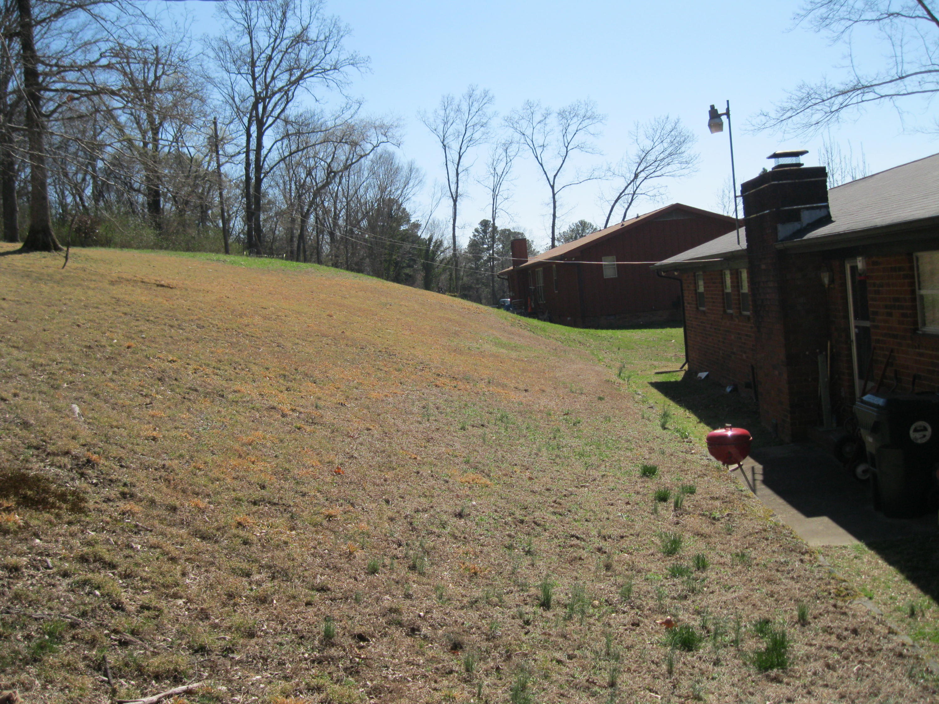 7300 Noah Reid Road Chattanooga, TN 37421 - Photo 11 of 23 Backyard