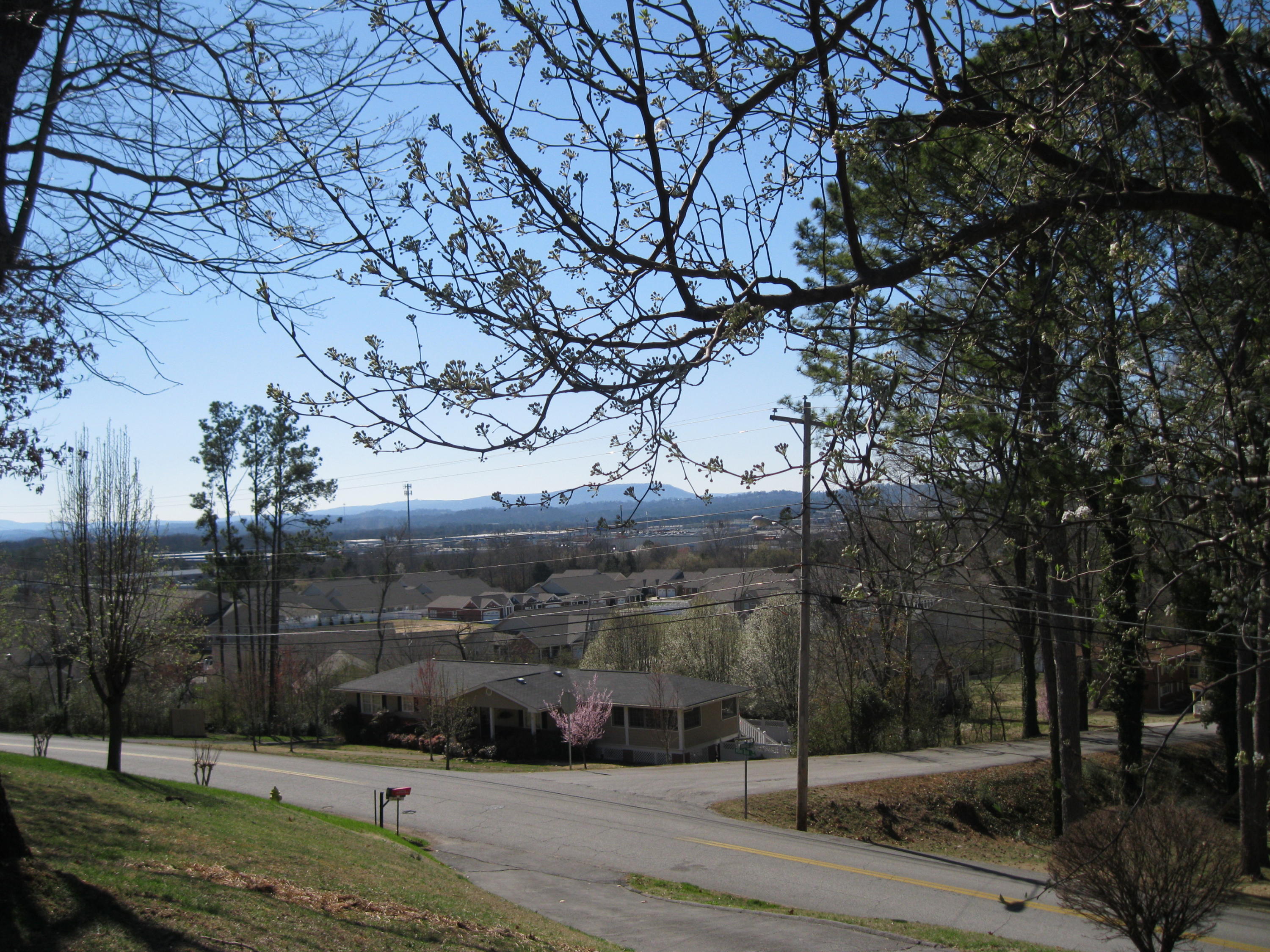 7300 Noah Reid Road Chattanooga, TN 37421 - Photo 14 of 23 View of Lookout Mt.
