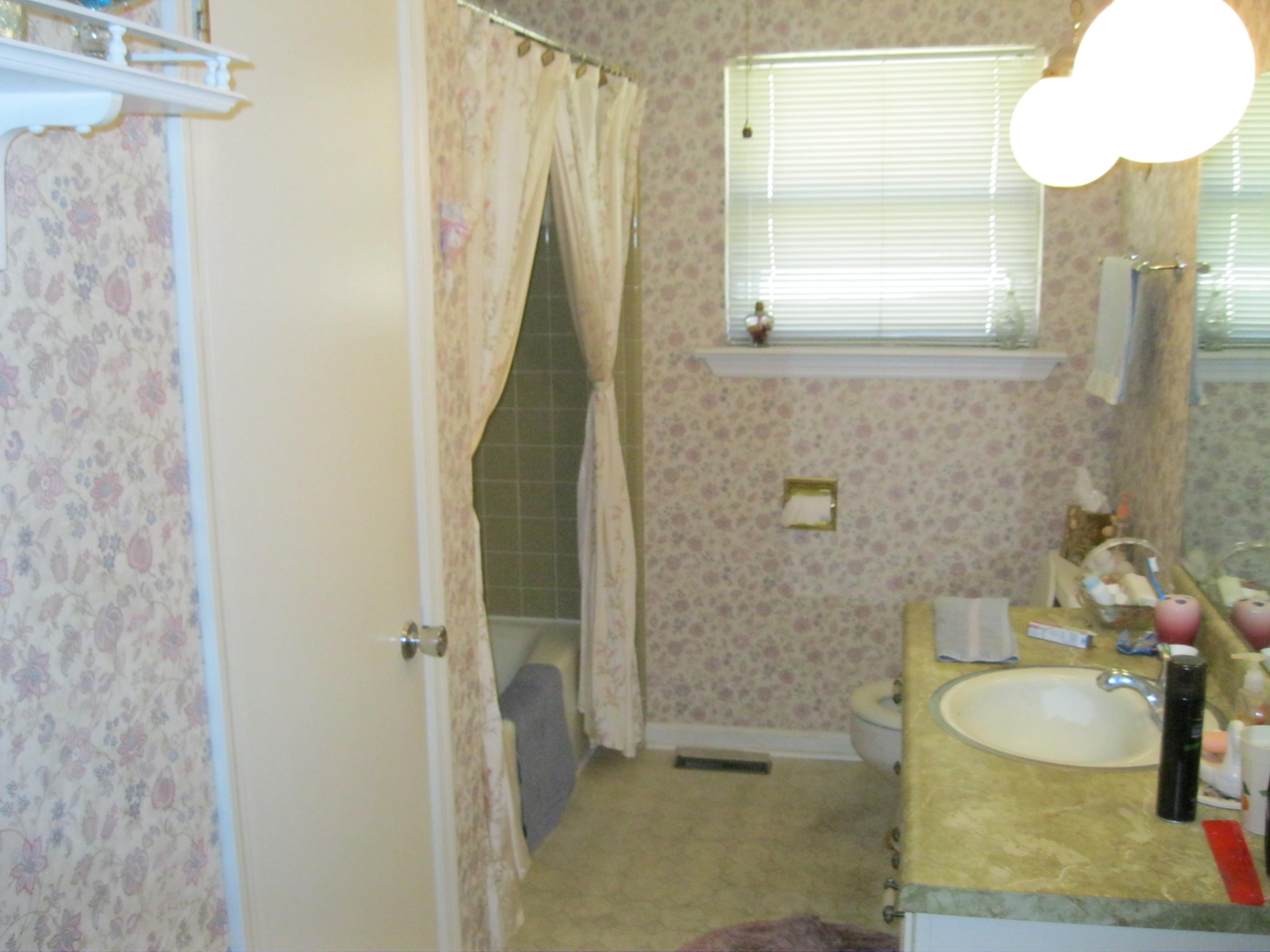 7300 Noah Reid Road Chattanooga, TN 37421 - Photo 15 of 23 Hall bath
