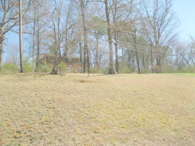 7300 Noah Reid Road Chattanooga, TN 37421 - Photo 16 of 23 Backyard.jpg