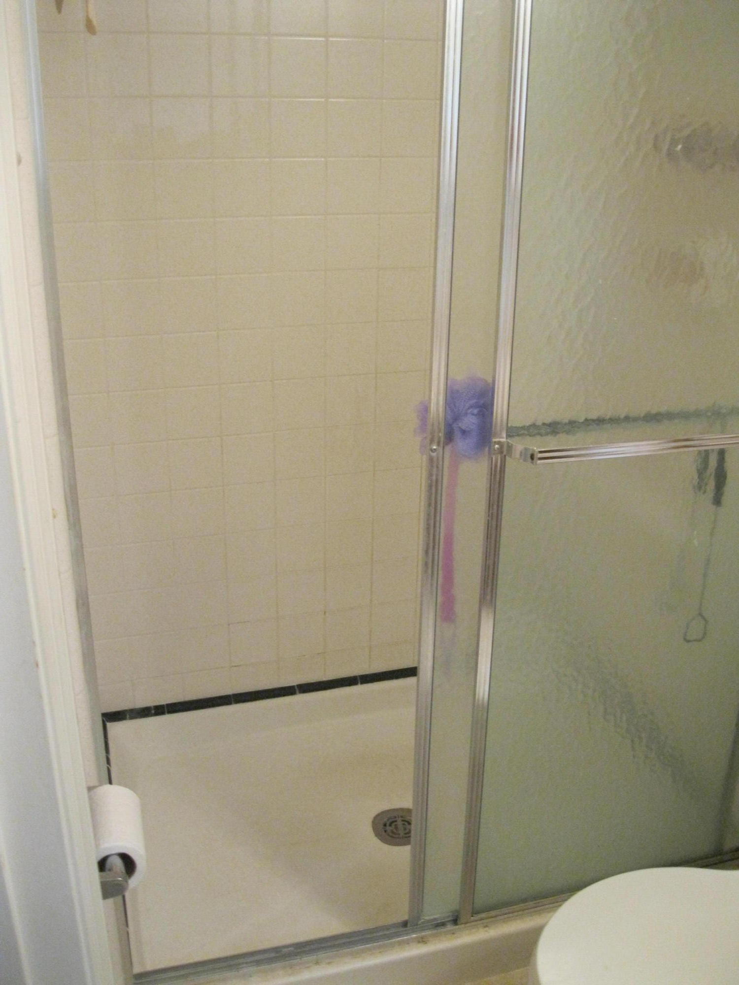 7300 Noah Reid Road Chattanooga, TN 37421 - Photo 17 of 23 Walk-in shower main bedroom