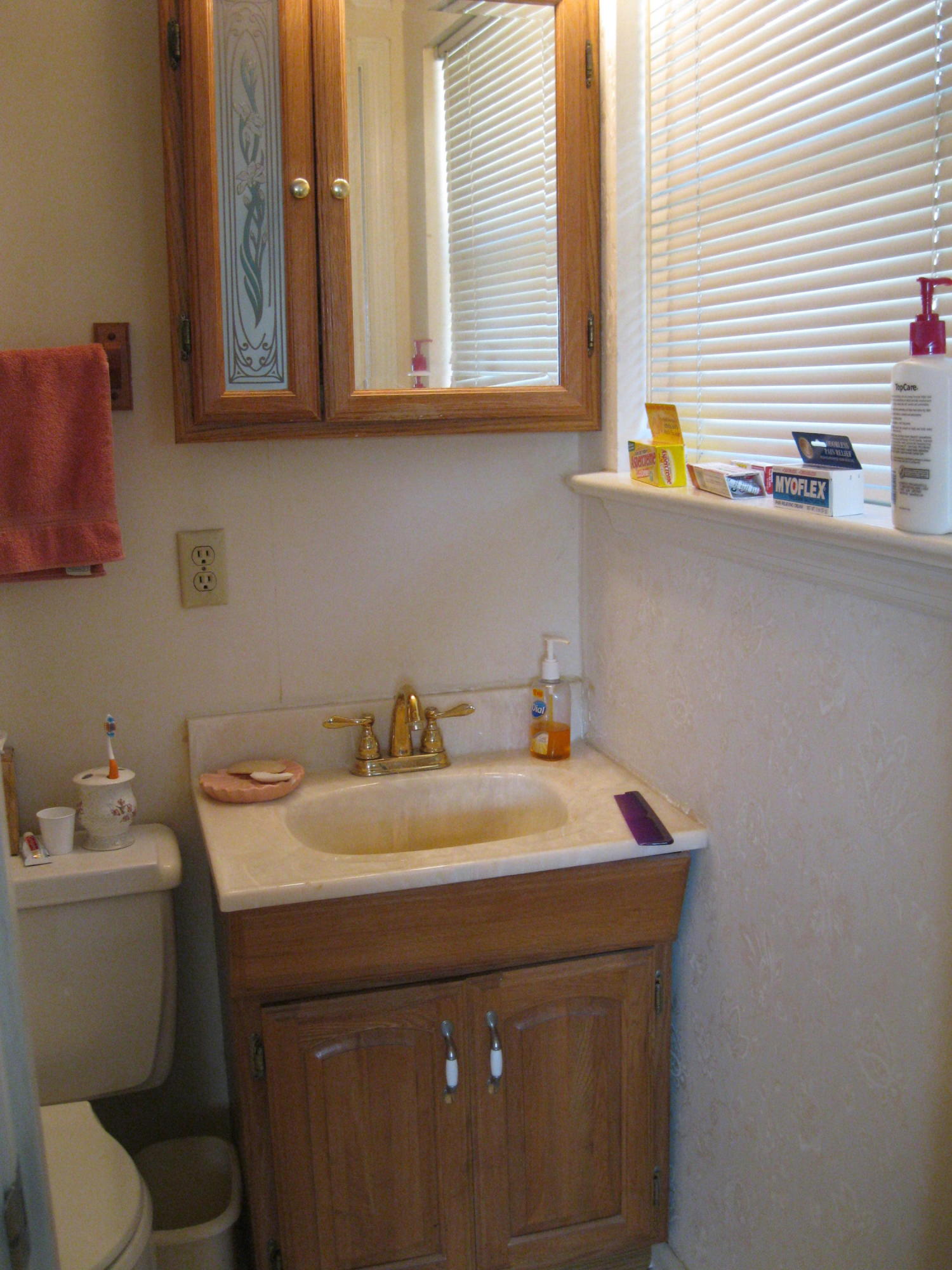 7300 Noah Reid Road Chattanooga, TN 37421 - Photo 18 of 23 Main br vanity