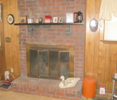 7300 Noah Reid Road Chattanooga, TN 37421 - Photo 3 of 23 Woodburning fireplace