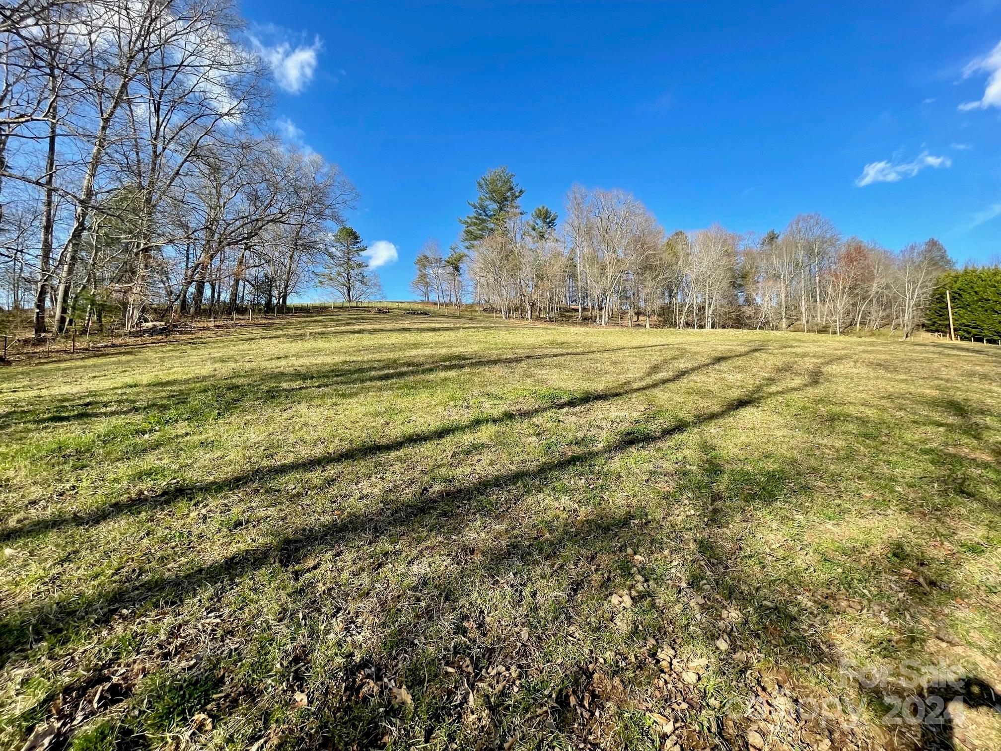 50 Glance Cove Road Clyde, NC 28721 - Photo 17 of 27 a view of an trees