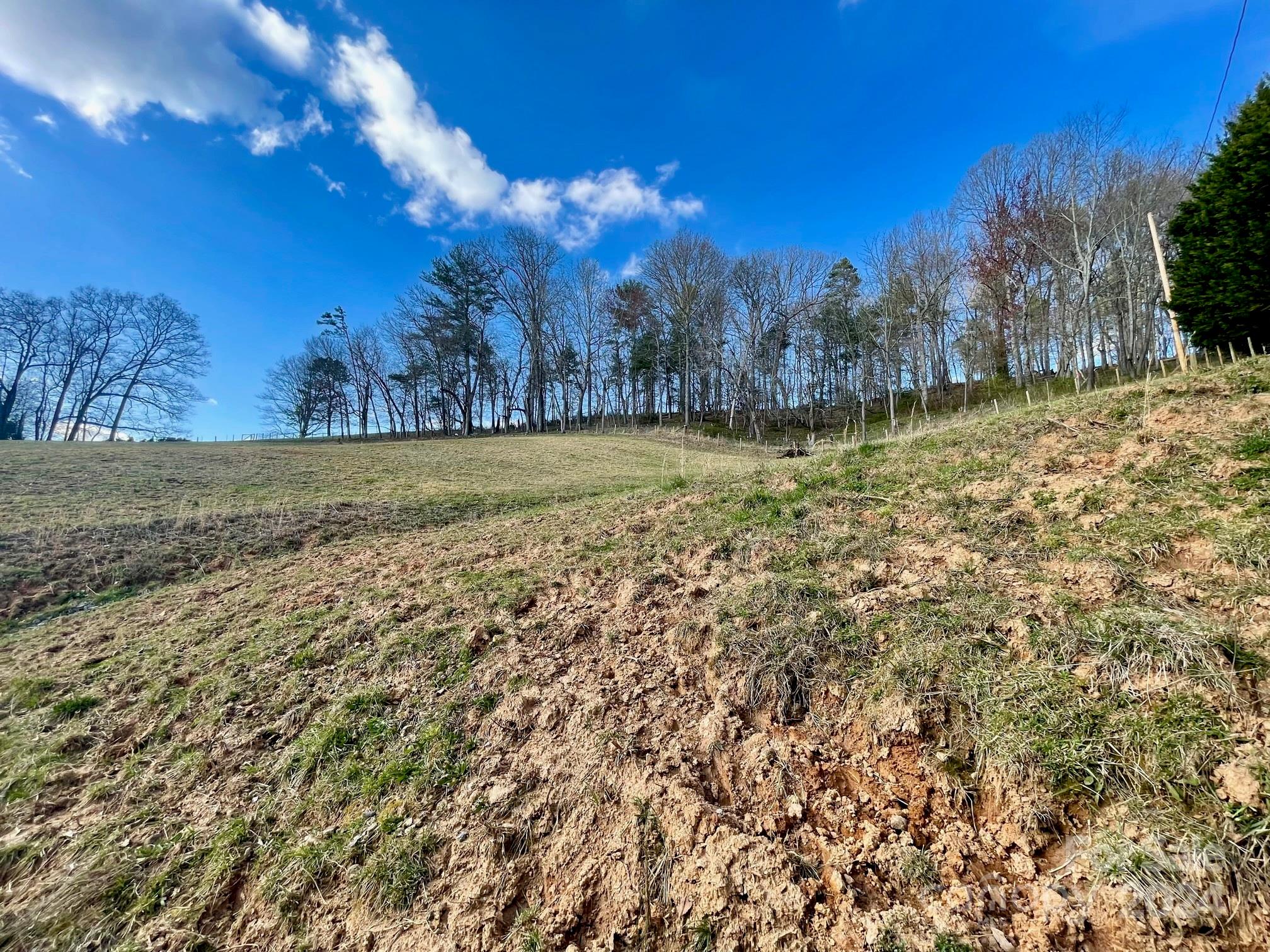 50 Glance Cove Road Clyde, NC 28721 - Photo 19 of 27 a view of a yard with an trees