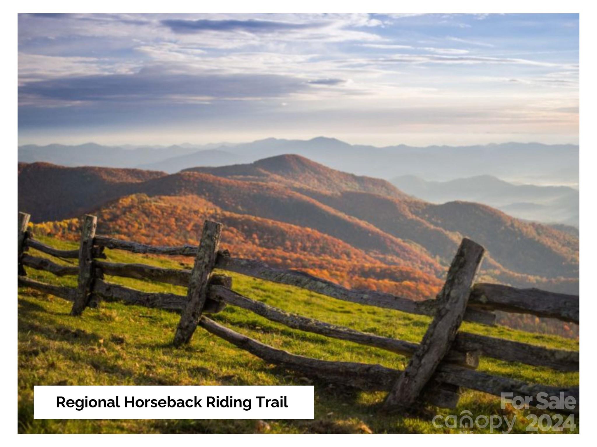 50 Glance Cove Road Clyde, NC 28721 - Photo 22 of 27 a view of a yard