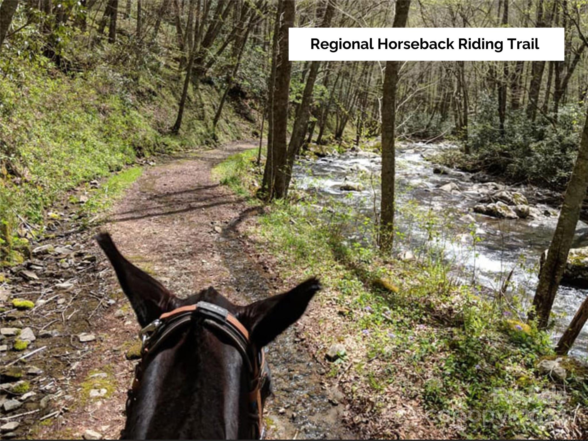 50 Glance Cove Road Clyde, NC 28721 - Photo 23 of 27 a view of outdoor space with seating area