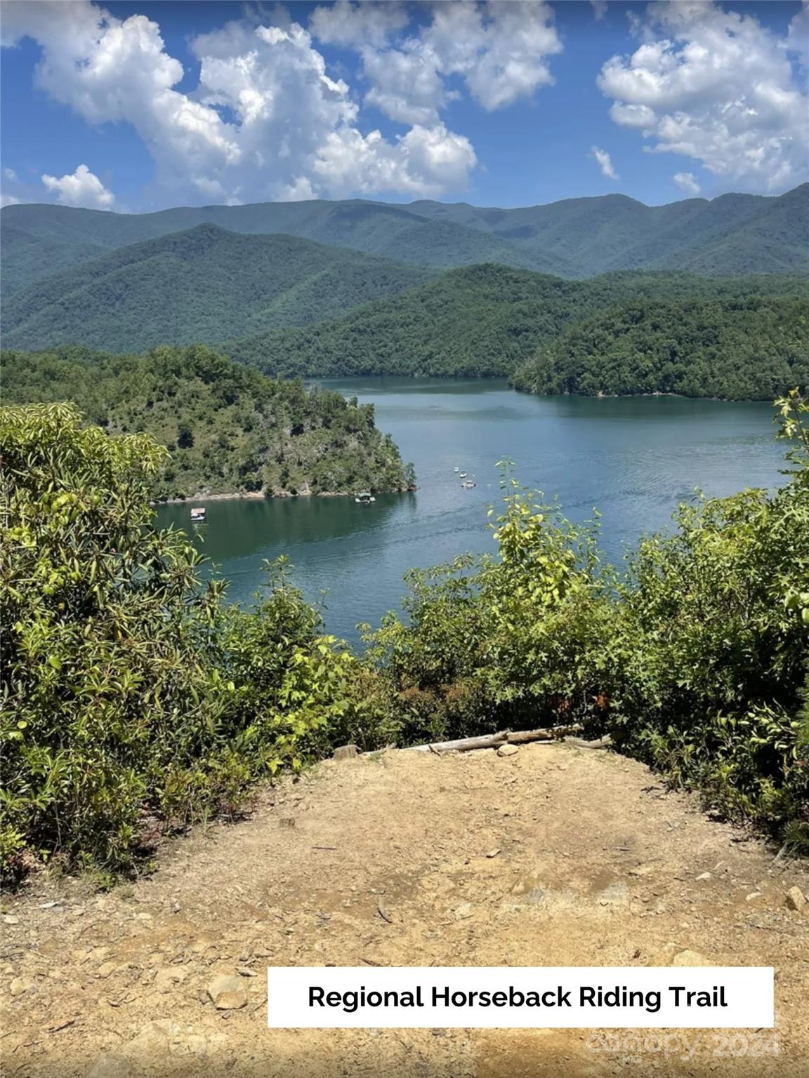 50 Glance Cove Road Clyde, NC 28721 - Photo 24 of 27 a view of a lake with a yard