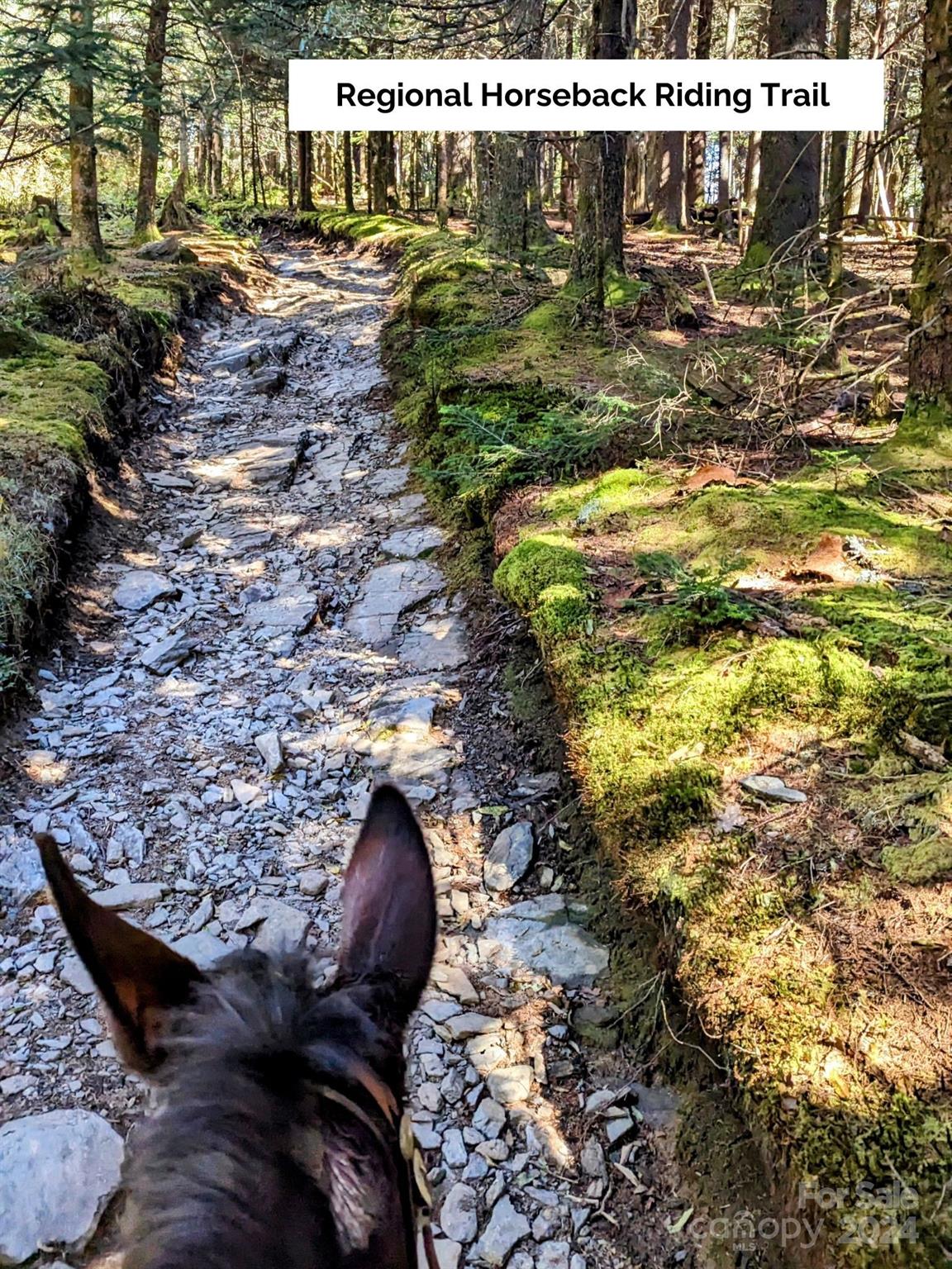 50 Glance Cove Road Clyde, NC 28721 - Photo 25 of 27 a view of swimming pool from a yard