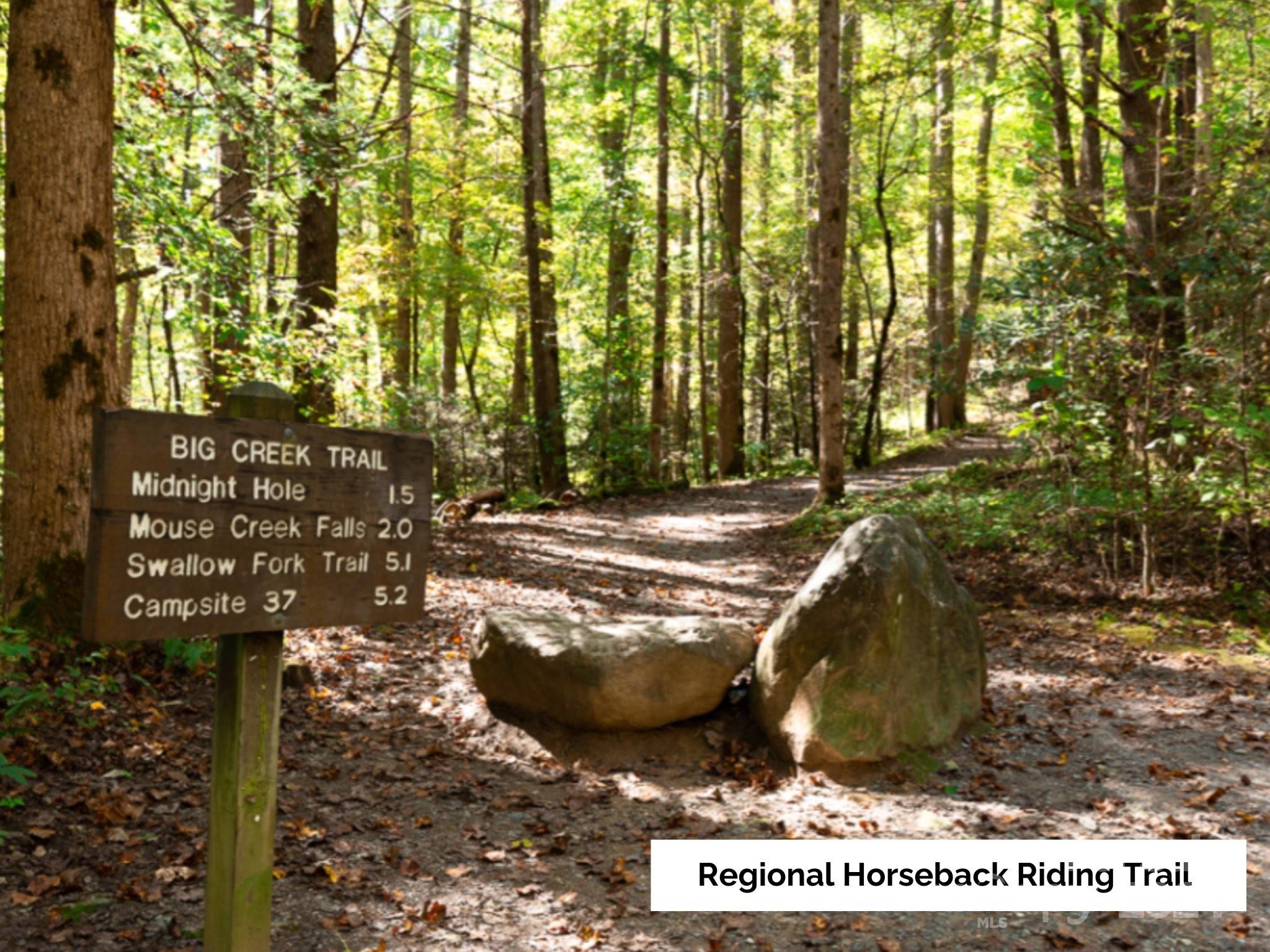 50 Glance Cove Road Clyde, NC 28721 - Photo 27 of 27 a view of an outdoor space