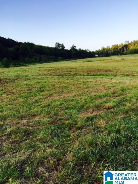 2801 Highway 42 Oneonta Al Oneonta, AL 35121 - Photo 4 of 7