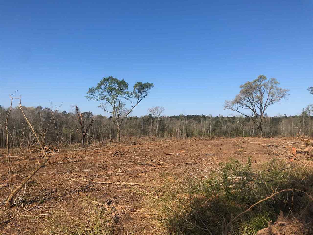 0 Jail House Road, Unit BUCKHORN TRACT Sparta, GA 31087 - Photo 1 of 1