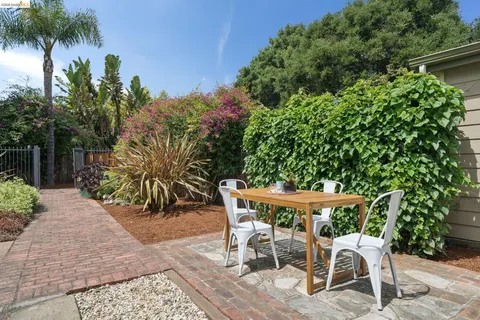 a view of garden with plants