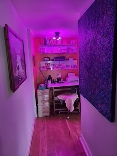 1020 East 46th Street, Unit 3 Chicago, IL 60653 - Photo 19 of 29