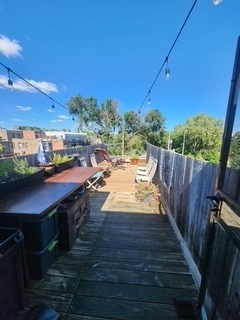 1020 East 46th Street, Unit 3 Chicago, IL 60653 - Photo 22 of 29