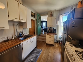 1020 East 46th Street, Unit 3 Chicago, IL 60653 - Photo 3 of 29