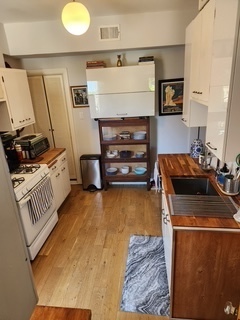 1020 East 46th Street, Unit 3 Chicago, IL 60653 - Photo 4 of 29