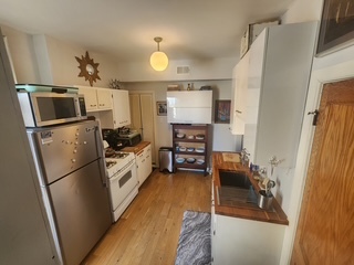 1020 East 46th Street, Unit 3 Chicago, IL 60653 - Photo 5 of 29