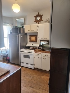 1020 East 46th Street, Unit 3 Chicago, IL 60653 - Photo 7 of 29