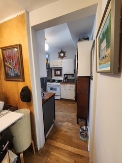 1020 East 46th Street, Unit 3 Chicago, IL 60653 - Photo 8 of 29