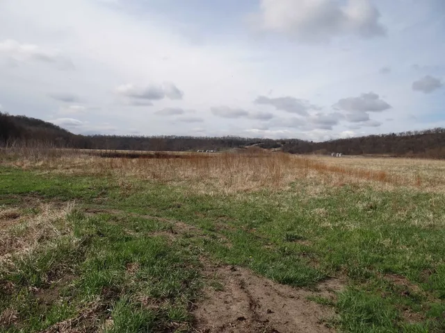 $993,500 | 151.68-acres Rattlesnake Road, Cassville, WI 53806