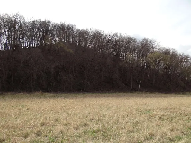 $993,500 | 151.68-acres Rattlesnake Road, Cassville, WI 53806