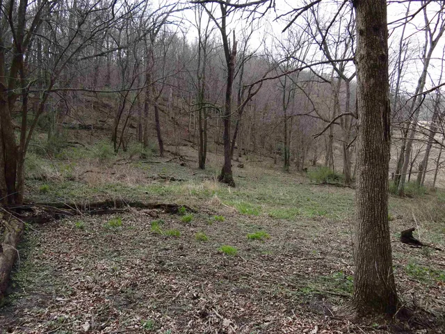 $993,500 | 151.68-acres Rattlesnake Road, Cassville, WI 53806