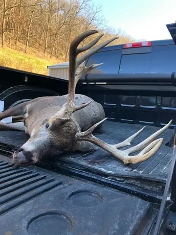 $993,500 | 151.68-acres Rattlesnake Road, Cassville, WI 53806