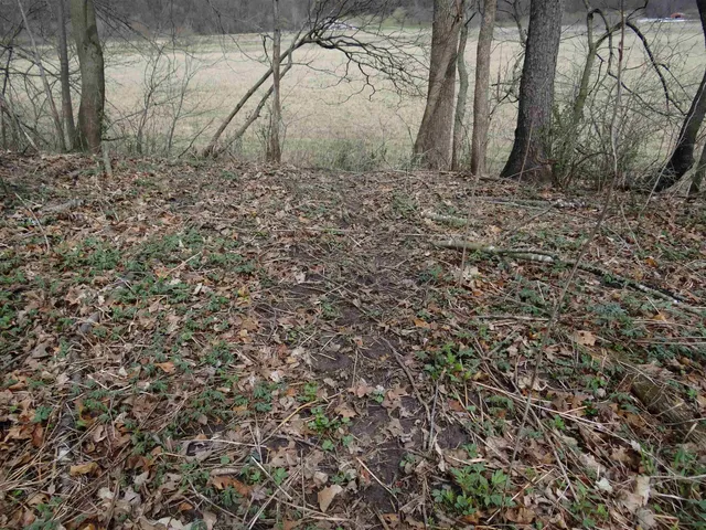 $993,500 | 151.68-acres Rattlesnake Road, Cassville, WI 53806