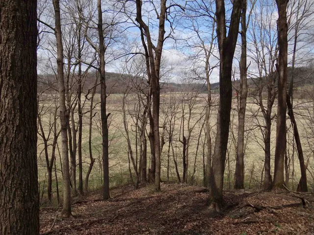 $993,500 | 151.68-acres Rattlesnake Road, Cassville, WI 53806